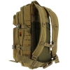 Desert Sandstone Rucksack